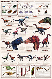 Feathered Dinosaurs