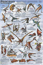 Pterosaur Poster