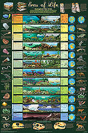 Geological Time Scale