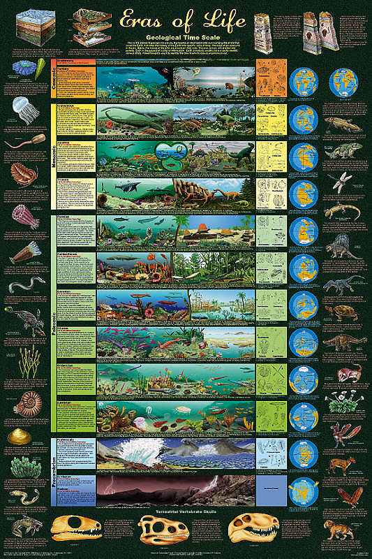 History Time Chart