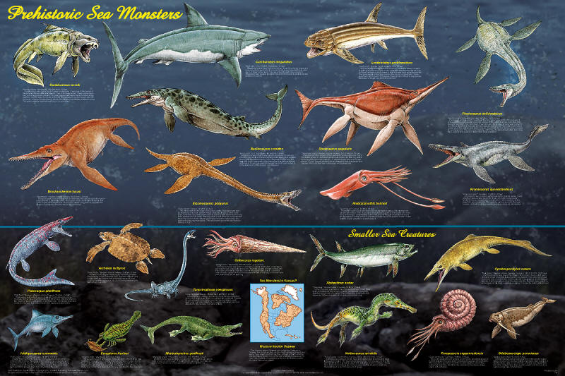 Largest Animals Chart